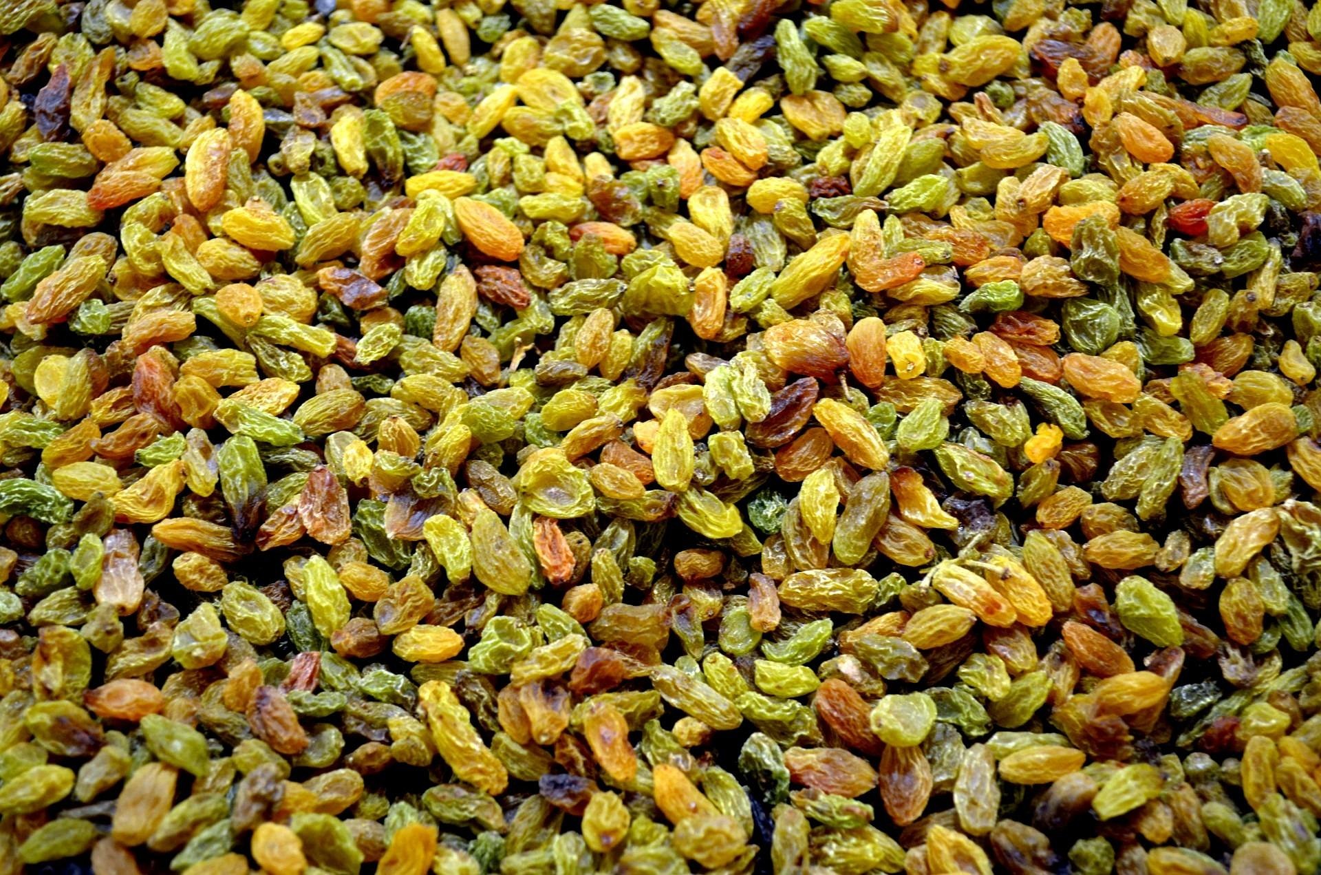 خرید عمده کشمش