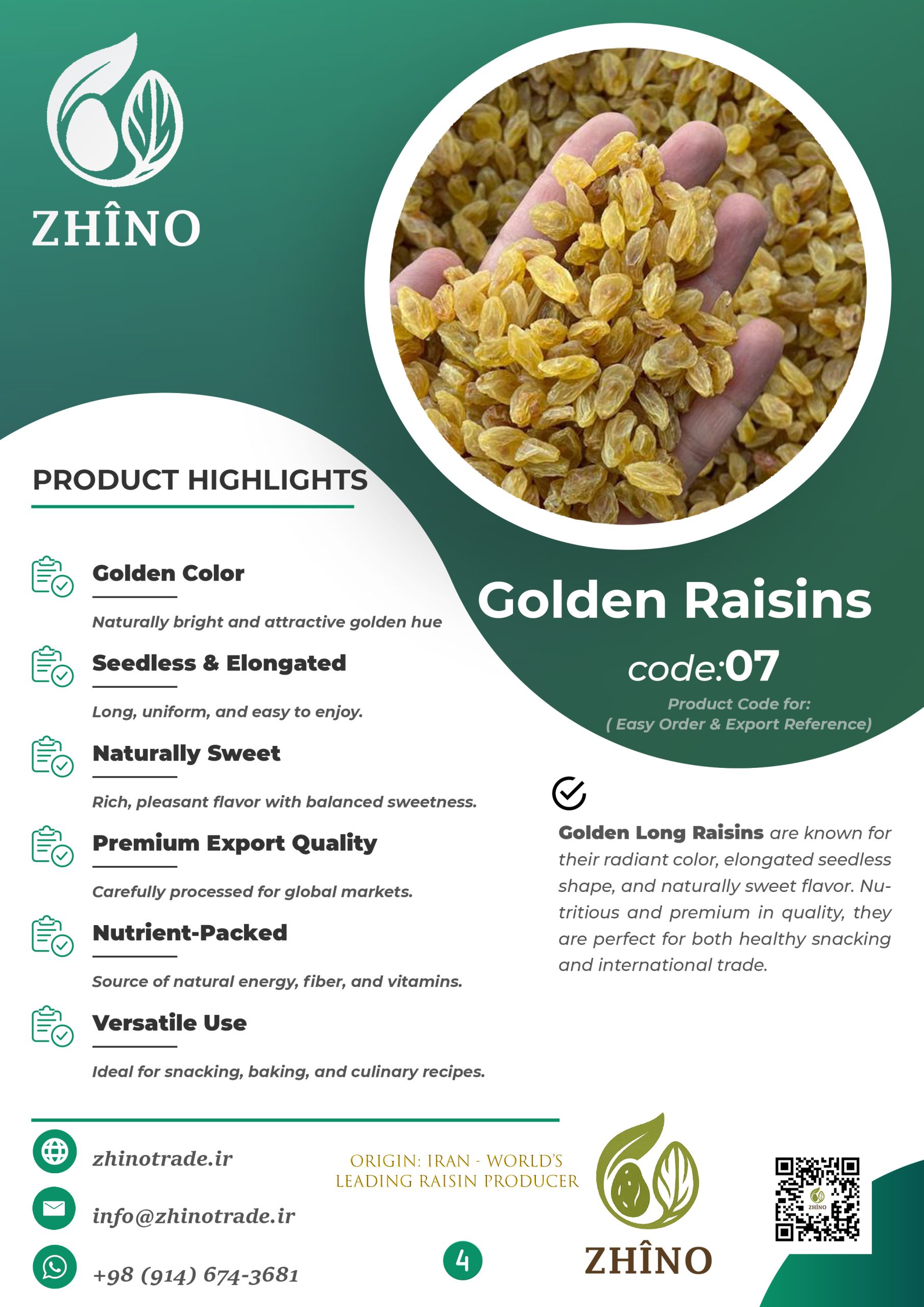 Golden Kashmari Raisins – High Quality Iranian Golden Raisins Export