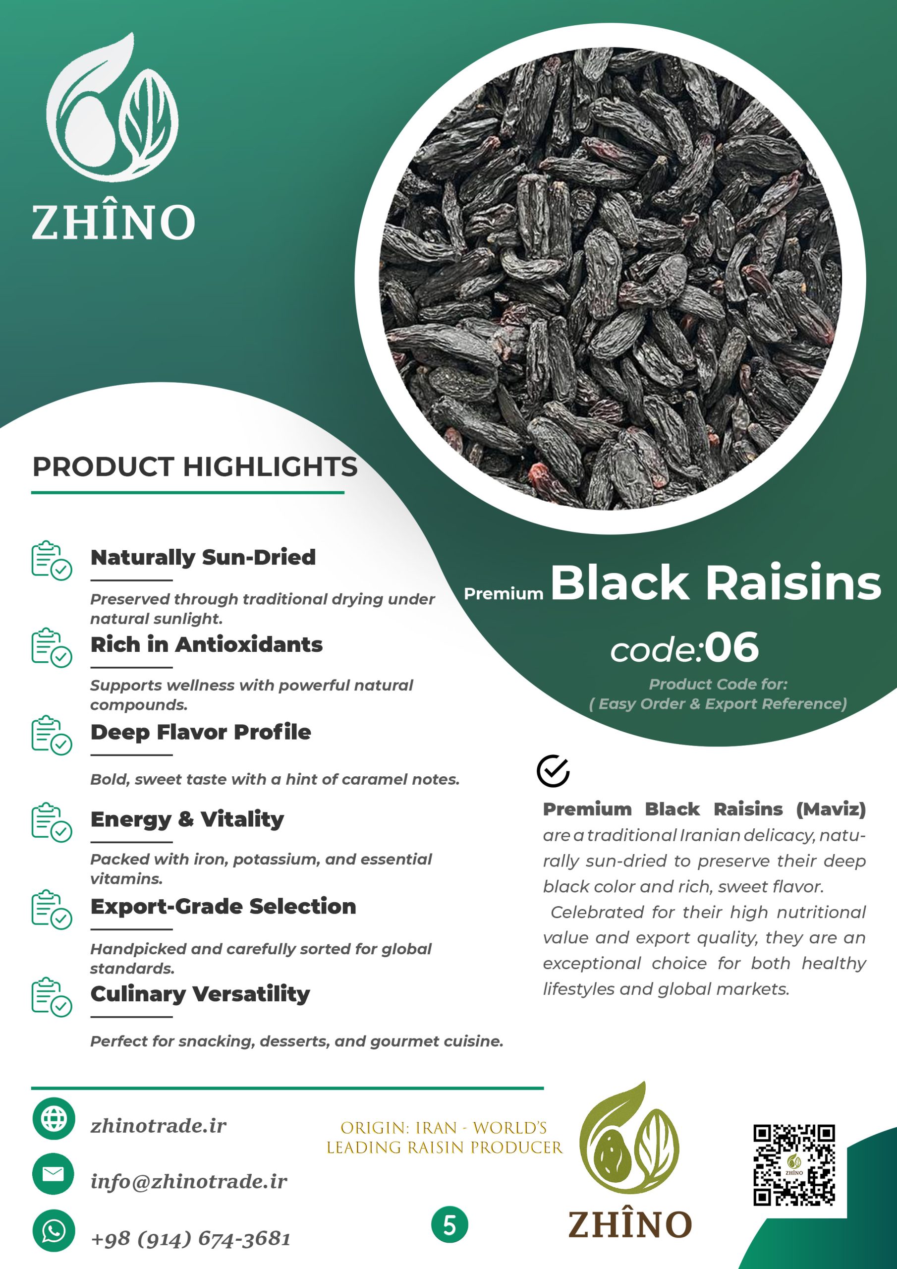 Sultana Raisins – Persian Sun-Dried Sultana for International Markets