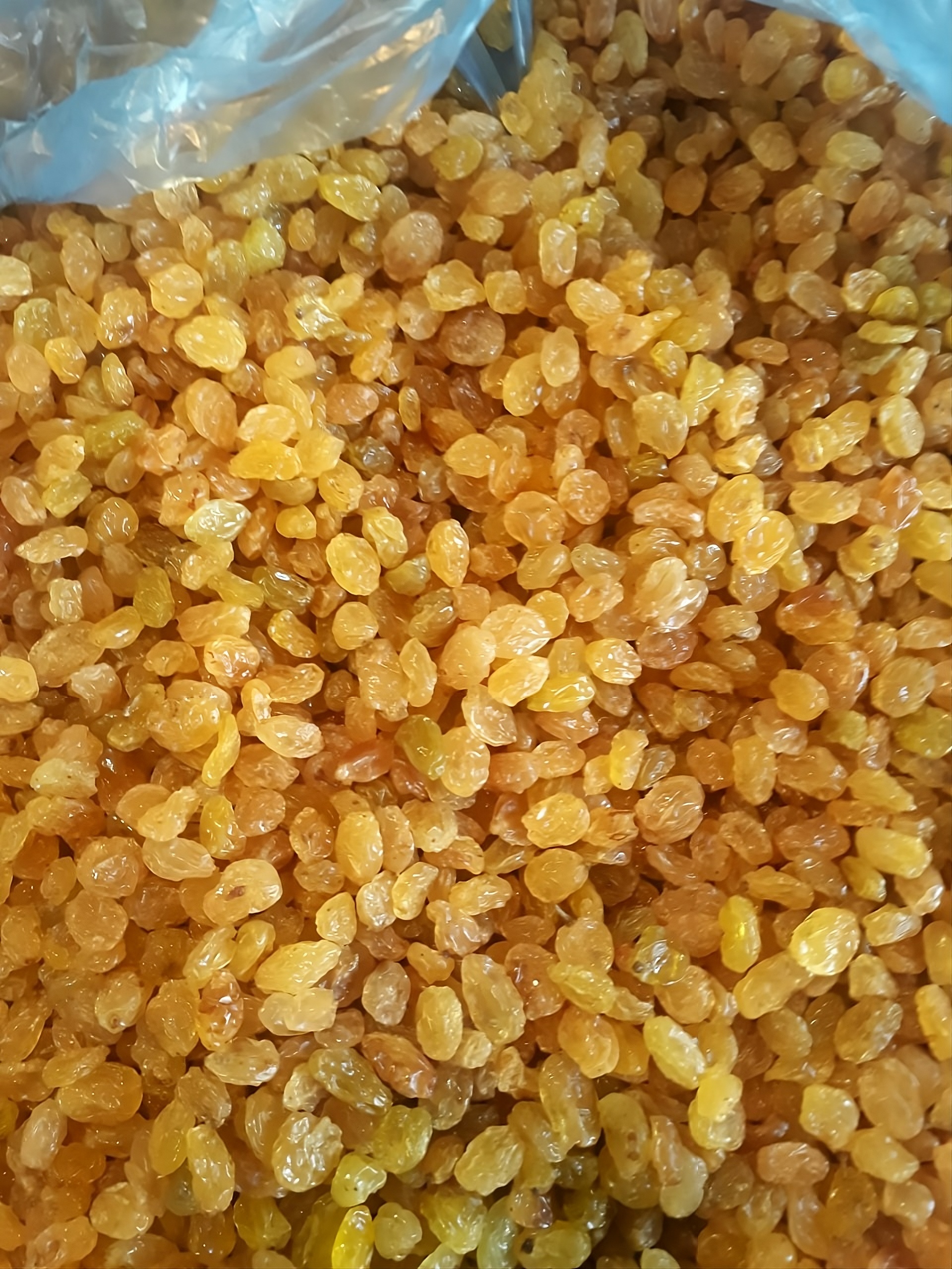 Malekan Golden Raisins