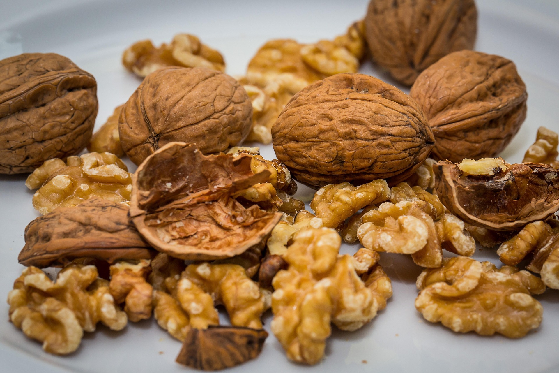 High-quality Iranian walnuts
