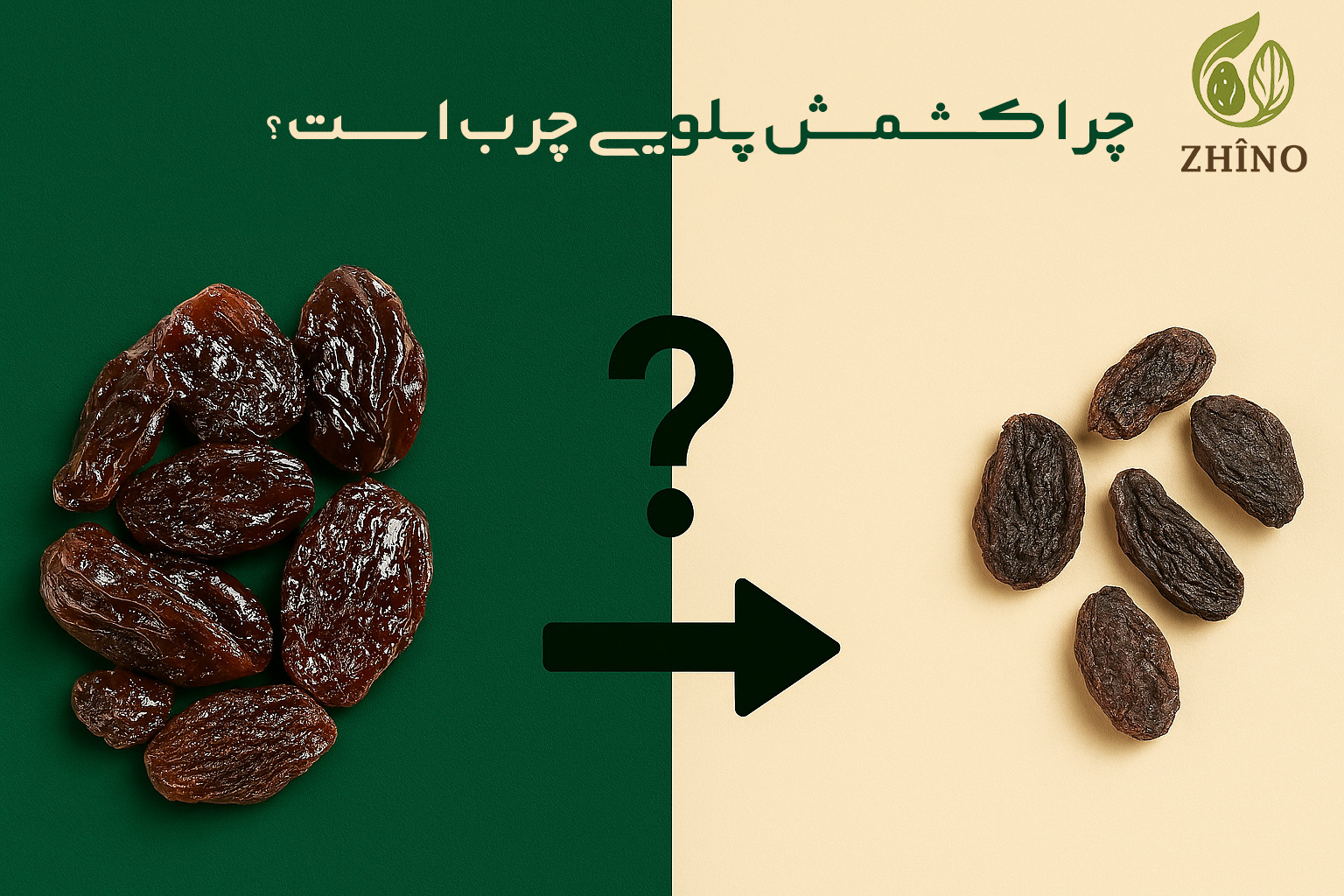علت چرب و براق بودن کشمش پلویی - بازرگانی ژینو