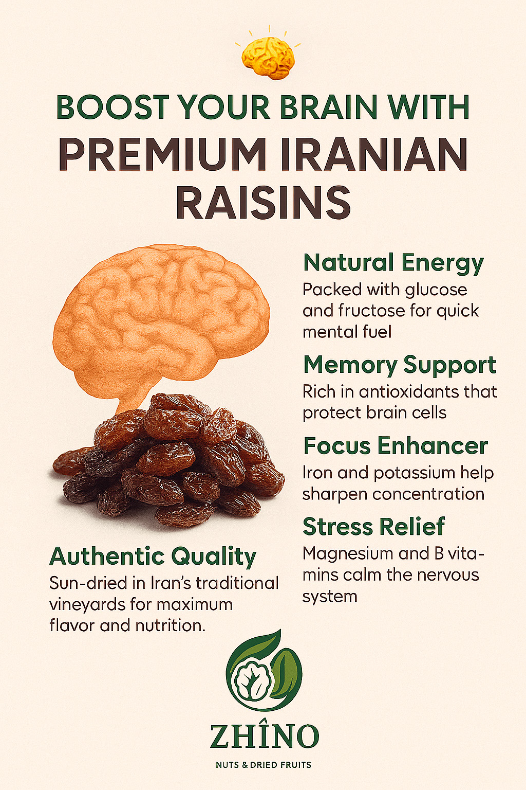 Raisins for Brain Health Zhino Trade