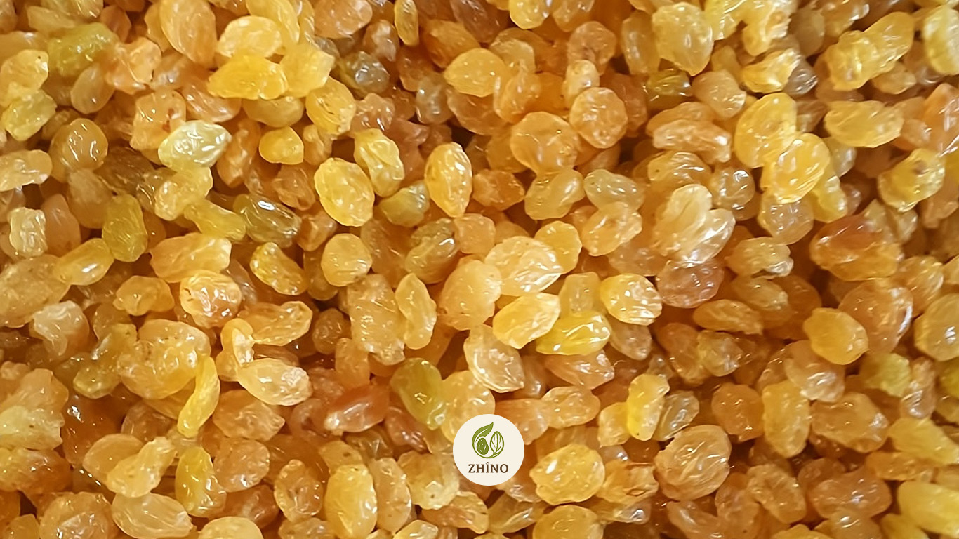 حبات زبيب أصفر موحدة وكبيرة استخدام الزبيب الأصفر في الطبخ.