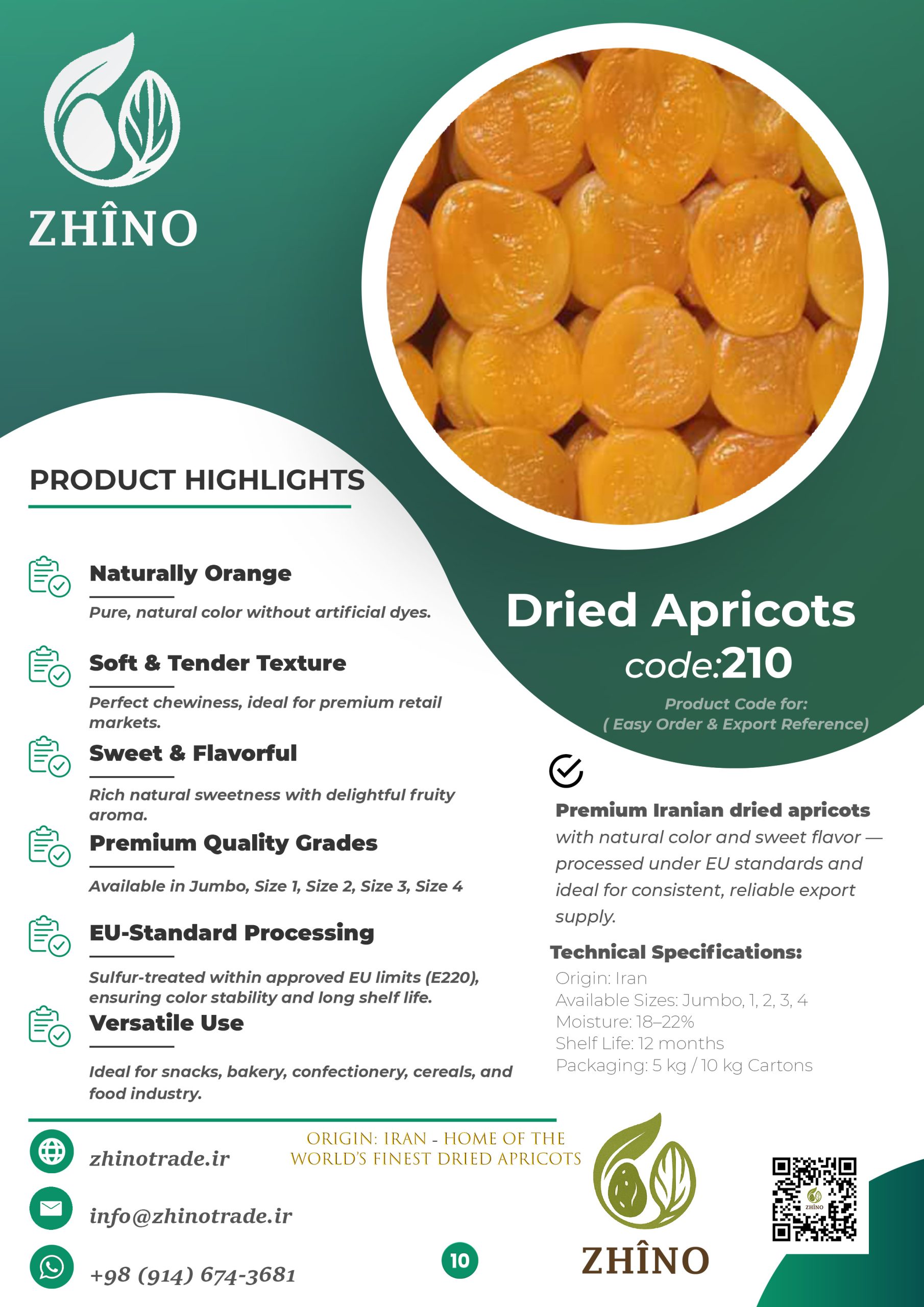 Zhino Trade Full Catalog – Iranian Raisins, Walnuts and Nuts Exporter