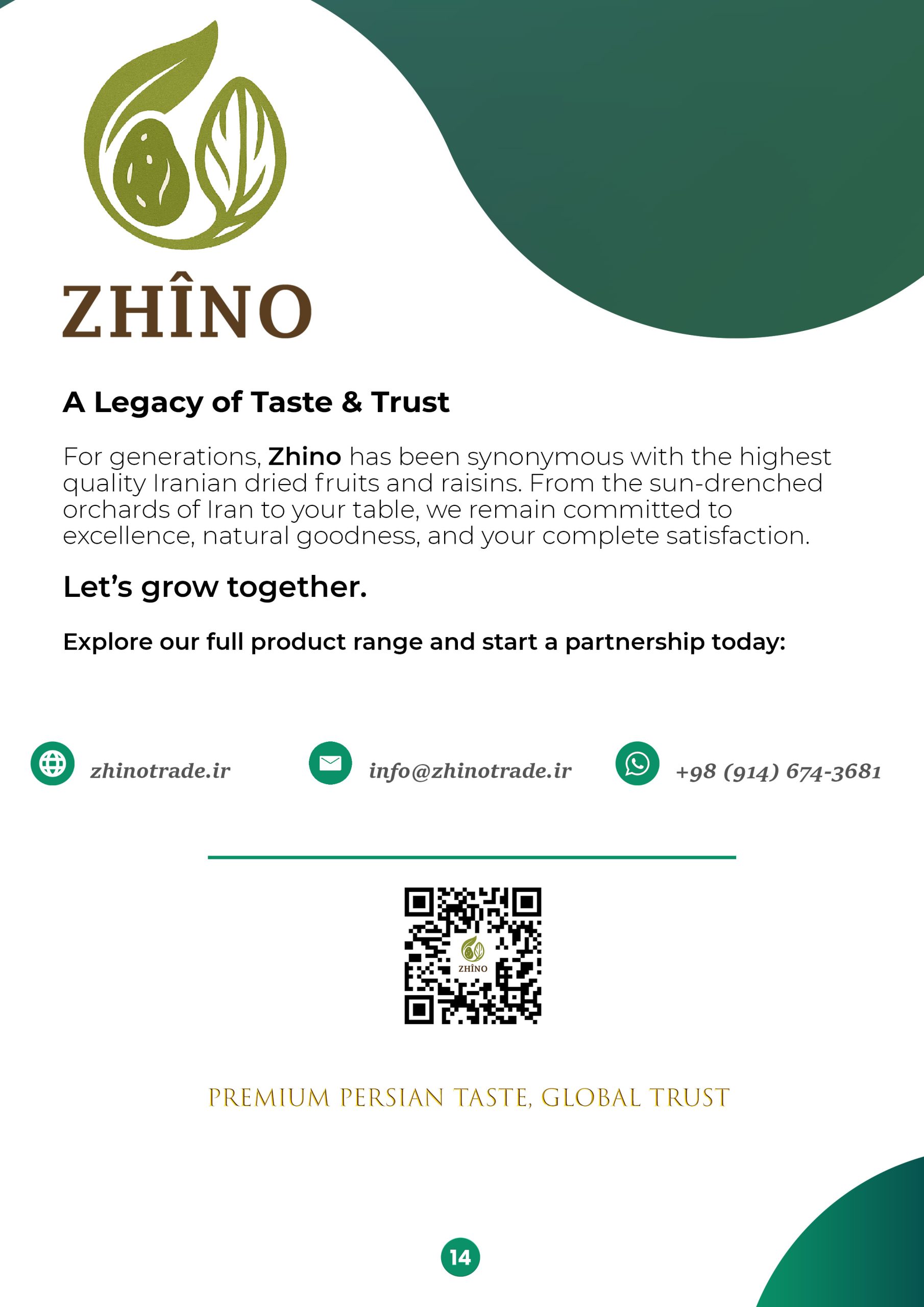 Zhino Trade Full Catalog – Iranian Raisins, Walnuts and Nuts Exporter
