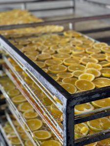 Why Choose Iranian Dried Orange Slices?