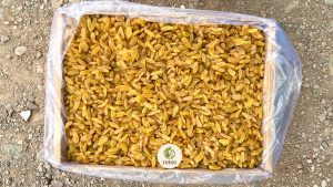 Export Quality Iranian Golden and Sultana Raisins for International Buyers