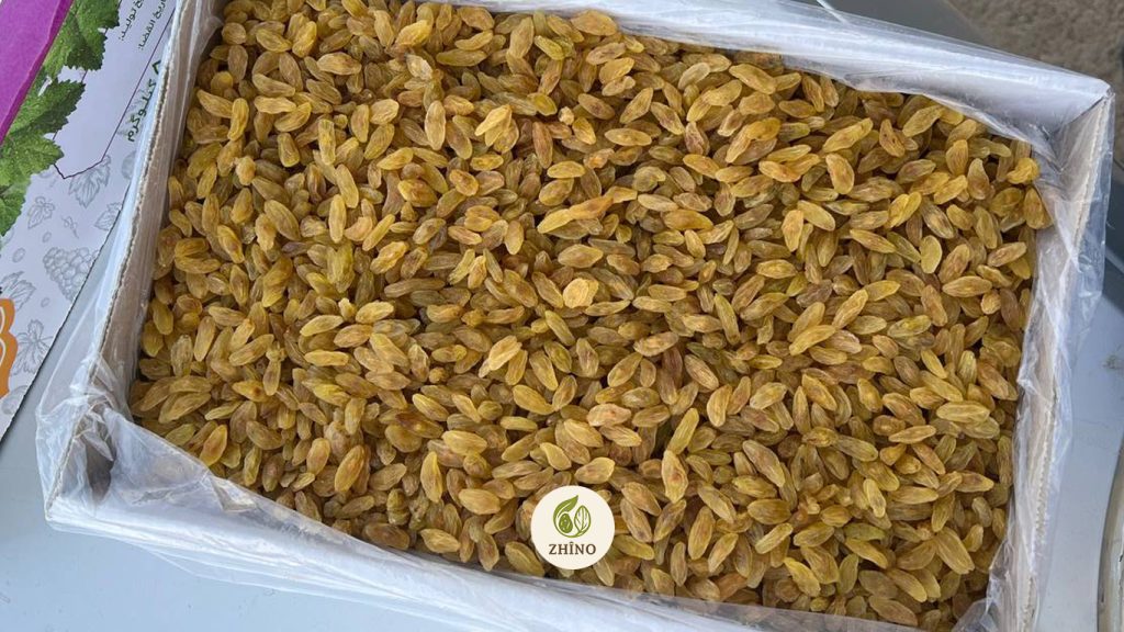 golden raisns for export Golden Raisins: The Shining Jewel of Iranian Dried Fruits