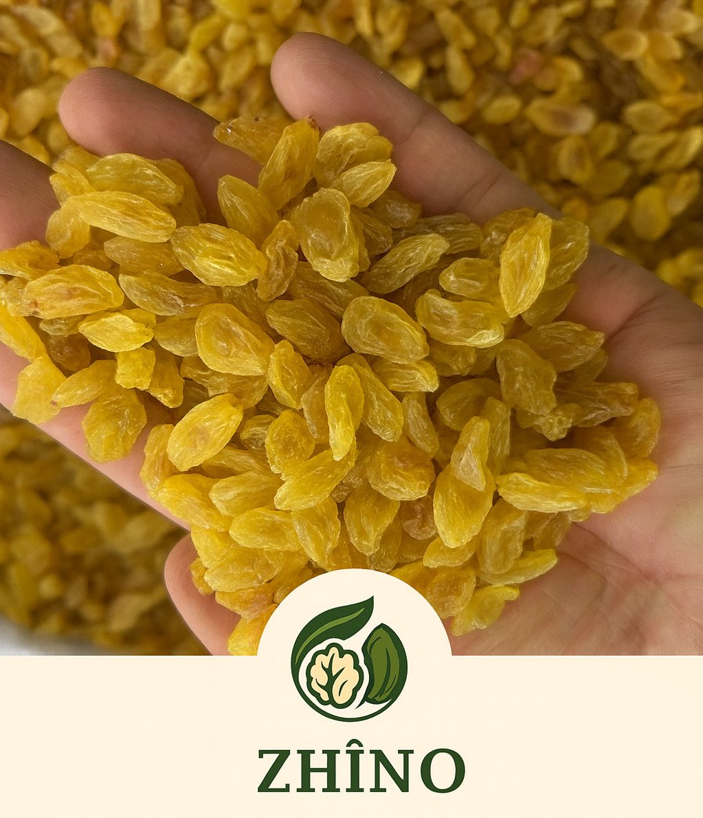 Golden Raisins Iranian Premium