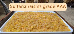 Premium Iranian Sultana raisins – golden, sweet, and naturally sun-dried by Zhino Trade